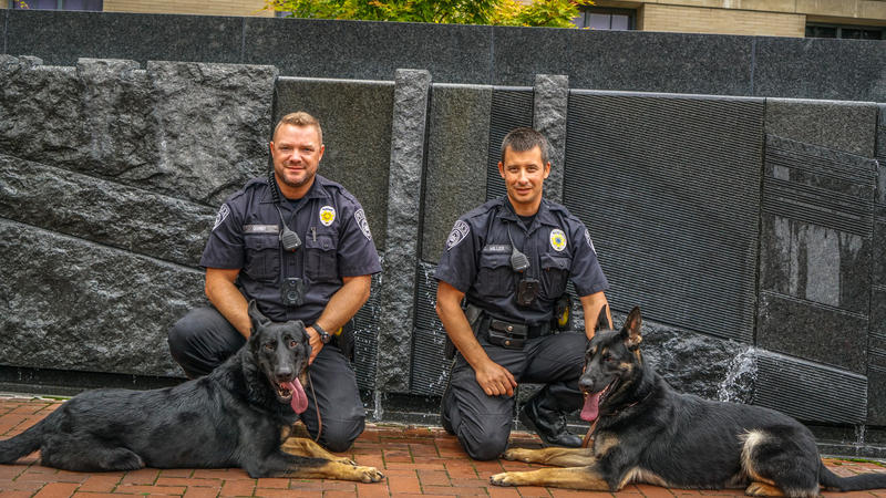 K9s Bo and Zain, with Handlers Officers Miller and Quimby