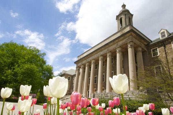 A low angled view of a building from the perspective of tulips on the lawn.